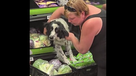 Perro queda atrapado en el estante de verduras en un Walmart
			