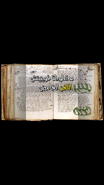 ٥ قوانين مظلمة للتفاوض الرابح لم يخبرك بها أحد