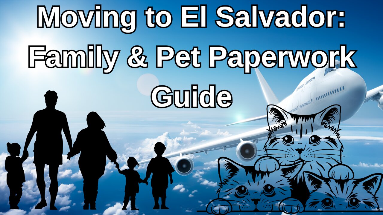 Relocating with Pets to El Salvador: What You Need to Know