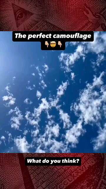 perfect camouflage 😶‍🌫️