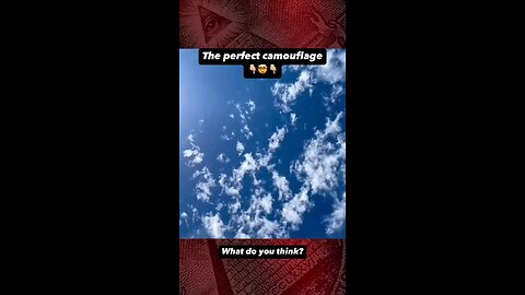 perfect camouflage 😶‍🌫️