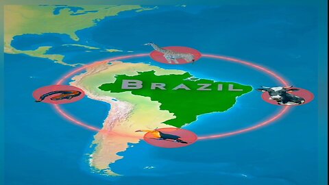 Mind-Blowing Facts About Brazil You Didn't Know! 🇧🇷