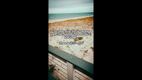 Proverbs 18:10 KJV 🪸🌊