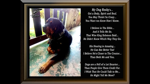 Trichotomy of Animals ~Body Spirit and Soul~