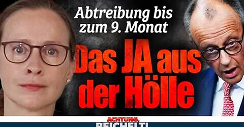 AfD-Frage lässt den CDU-Streit um linksradikale SPD Richterin des Grauens Brosius eskalieren