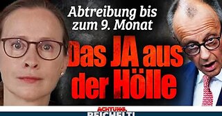 AfD-Frage lässt den CDU-Streit um linksradikale SPD Richterin des Grauens Brosius eskalieren