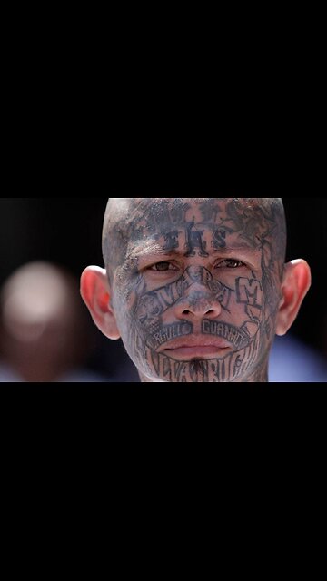 Democrats 'Truly Madly Deeply' Love MS-13 In Viral Video - Jamie Raskin And Protesters Approve