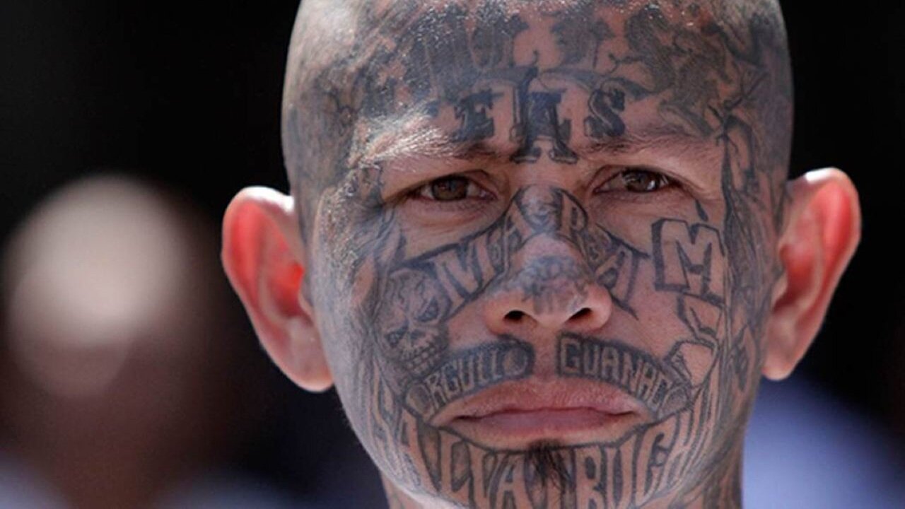 Democrats 'Truly Madly Deeply' Love MS-13 In Viral Video - Jamie Raskin And Protesters Approve