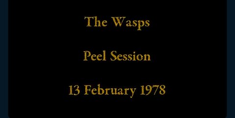 THE WASPS, JOHN PEEL SESSION 1978