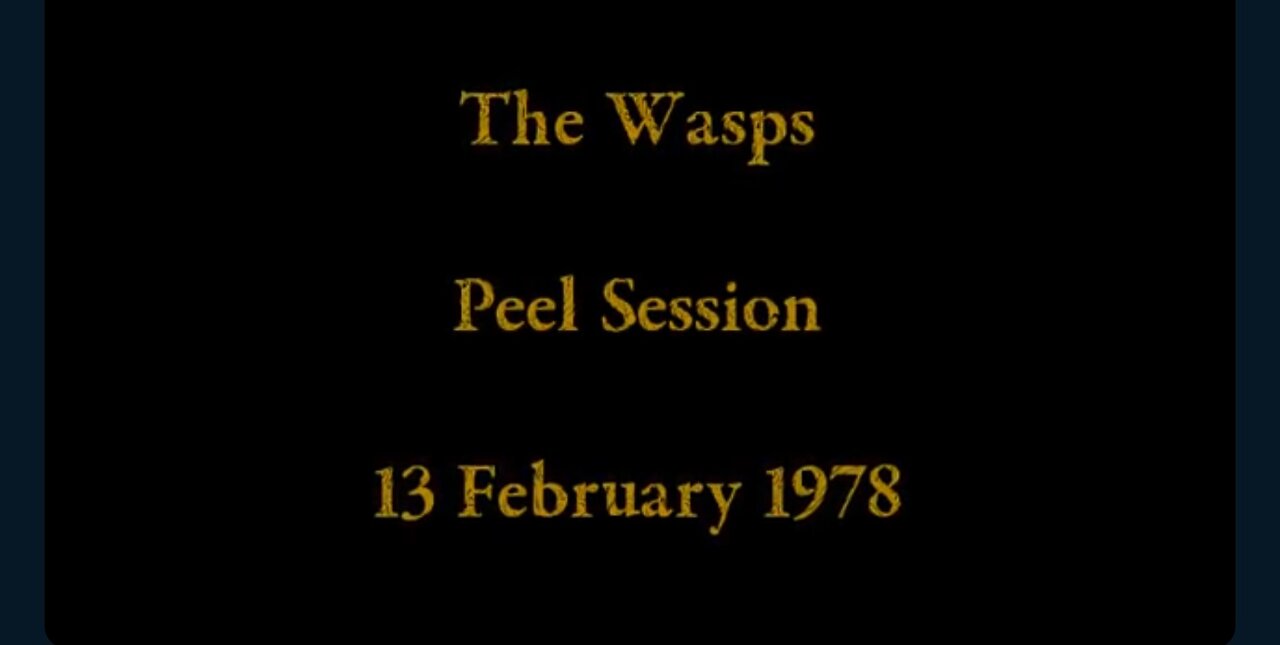 THE WASPS, JOHN PEEL SESSION 1978