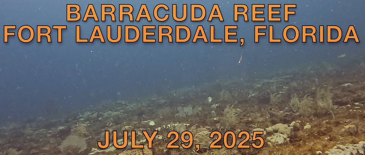 SCUBA Diving for Lobster at Barracuda Reef, Fort Lauderdale, Florida