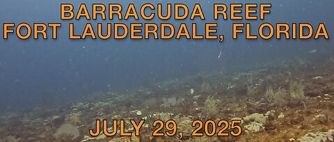 SCUBA Diving for Lobster at Barracuda Reef, Fort Lauderdale, Florida
