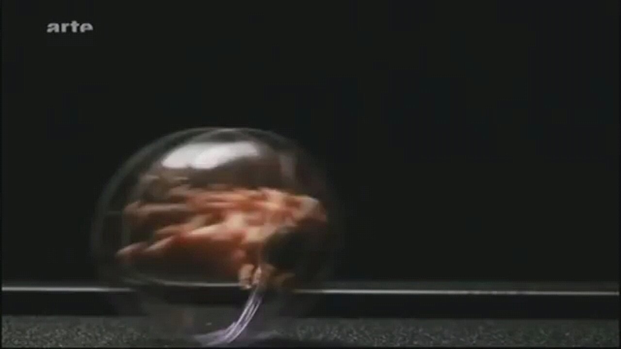 🎬 Die künstliche Gebärmutter - Maschine statt Mama | ARTE Doku