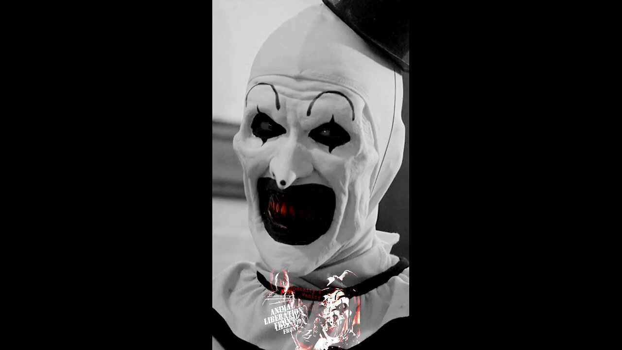 Insanity’s Vanity (YouTube Channel Name)