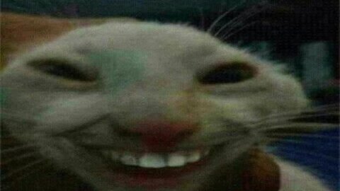 if you laugh, you restart the video
