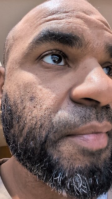 stay grateful shelter taking so long.