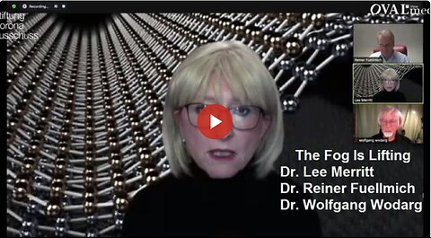 The Fog Is Lifting: Dr. 'Lee Merritt', Dr. 'Reiner Fuellmich' and Dr. 'Wolfgang Wodarg'