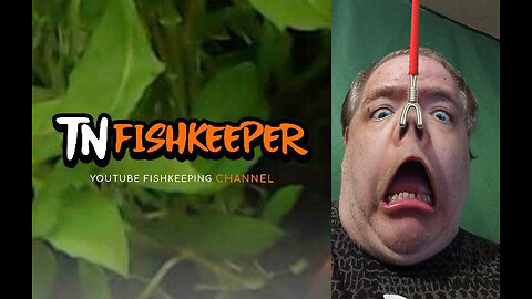TNFISHKEEPER.COM™ 🐠 WHO HAS THE REAL CONTROL? #COMEDY