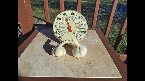 Planting Fall Garlic In Southern Mississippi 11/1/25