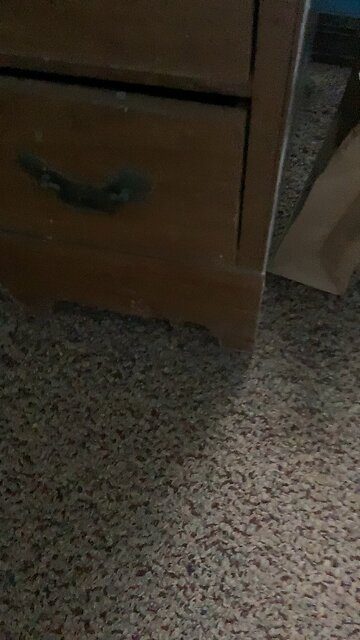 I make basically the same video for the 1000th time in a row