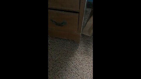 I make basically the same video for the 1000th time in a row