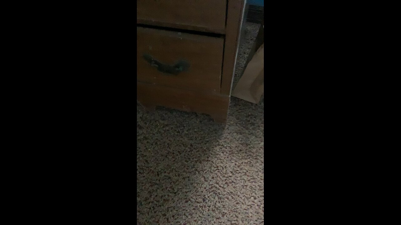 I make basically the same video for the 1000th time in a row