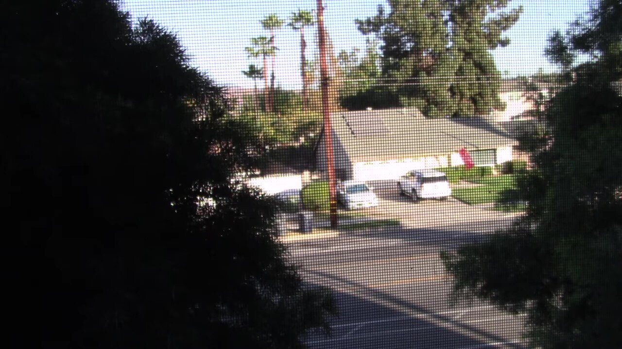 Nothing to say but... Awakening, Meditation