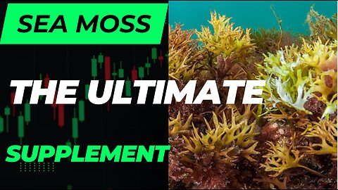 Sea Moss the Ultimate Supplement