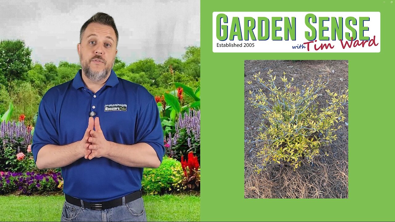 Garden Sense with Tim Ward - 04.02.25