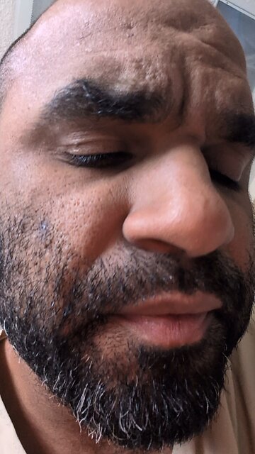 shelter better than the rest