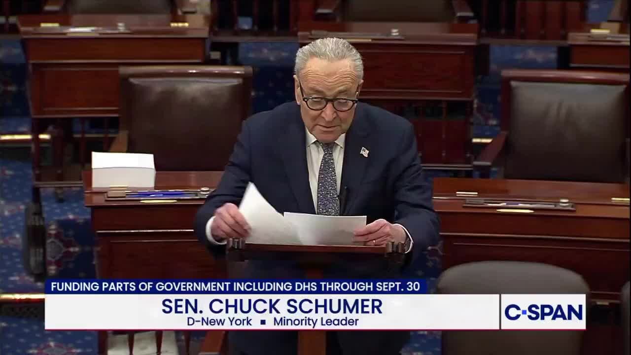 Schumer: Don Lemon Arrest ‘Is a Dark Message to Journalists Everywhere’
