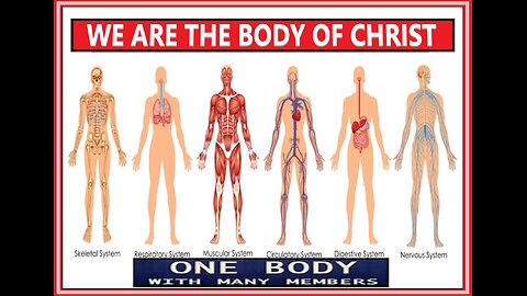 ONE BODY - MANY MEMBERS #4 WC