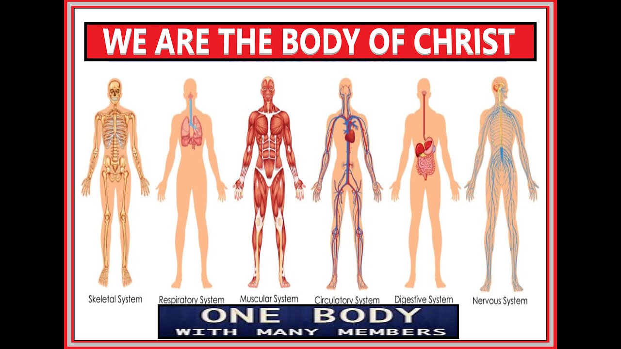 ONE BODY - MANY MEMBERS #4 WC