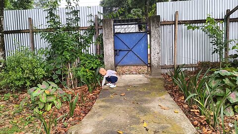 Marvin shoping the pigeons❤️❤️🫣🫣🧿