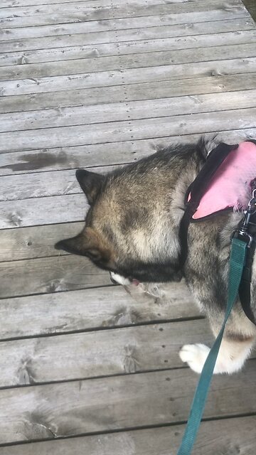 Friday August 29, You equipped me with the strength for the battle.