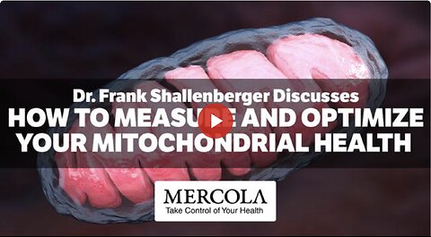 How to Measure and Optimize Your Mitochondrial Health- Interview with Dr. Frank Shallenberger