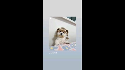 कितनी सुन्दर है