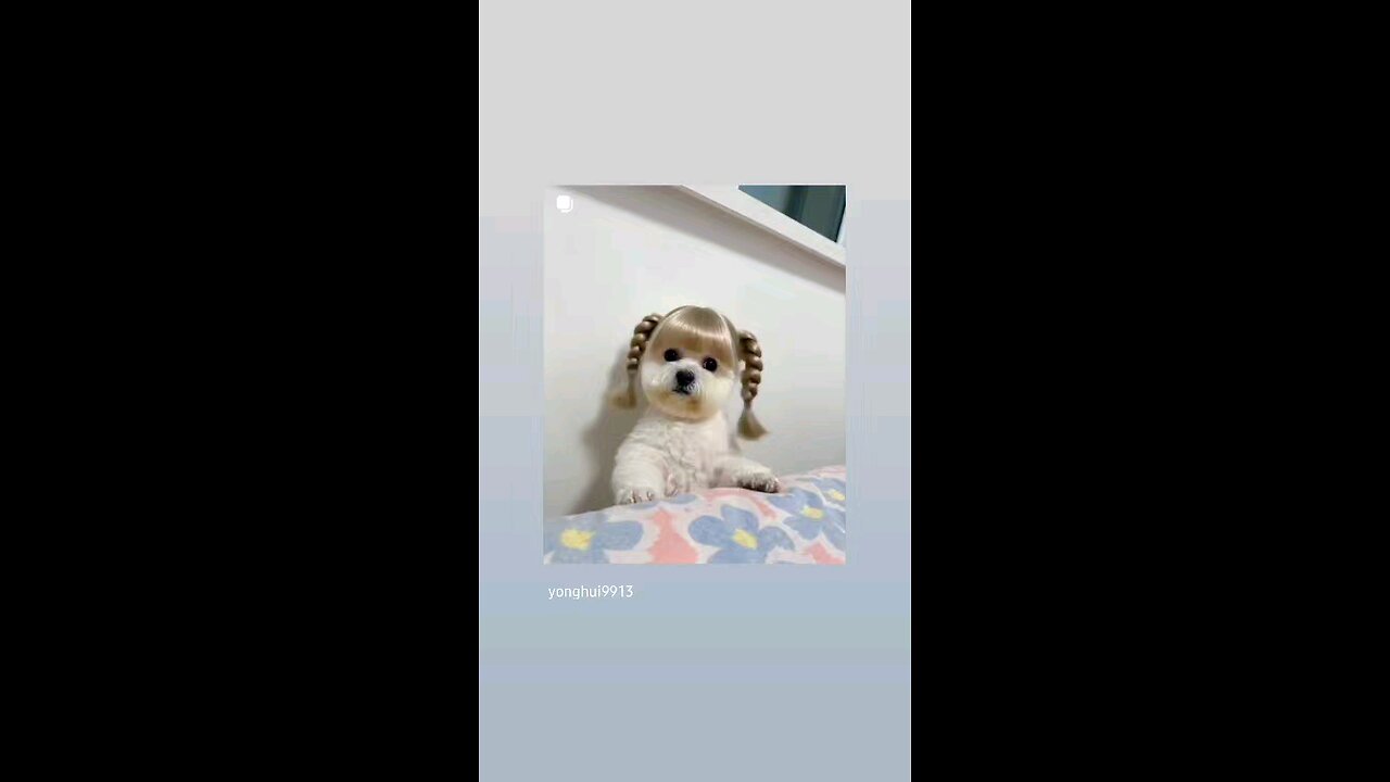 कितनी सुन्दर है