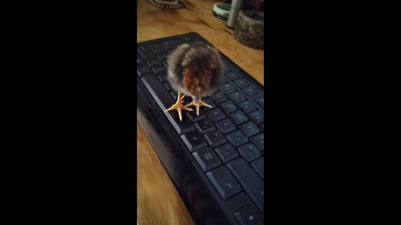 it's my computer now