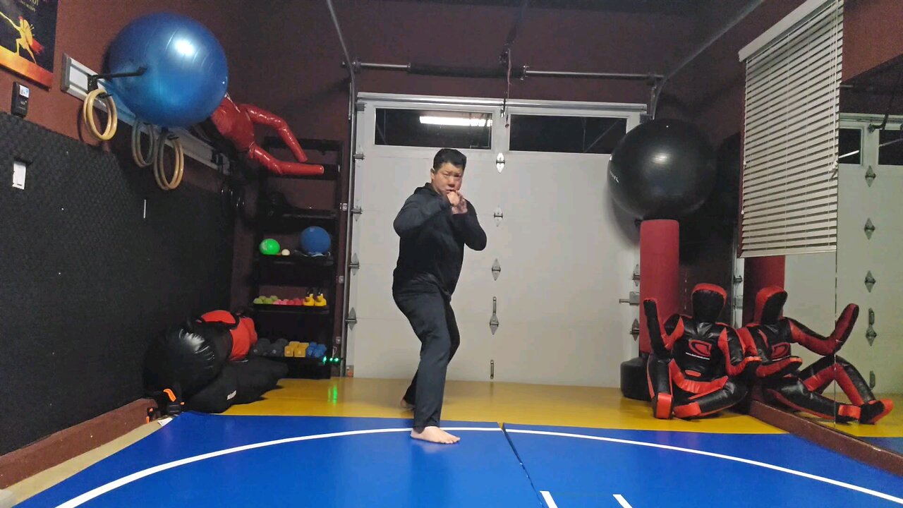 WTD 2 Step Kick Combination 88