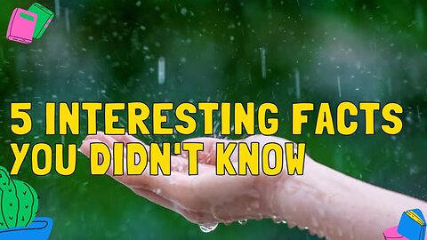 Rain: 5 Interesting Facts You Didn't Know ☔