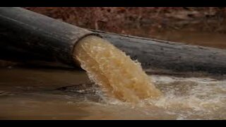 Trump Feds to Take Over Potomac Sewage Spill Cleanup