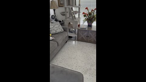 Hercules Misses His Momma! | 4K