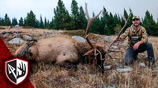 8 Days, 1 Bull – Public Land Elk Hunting Success