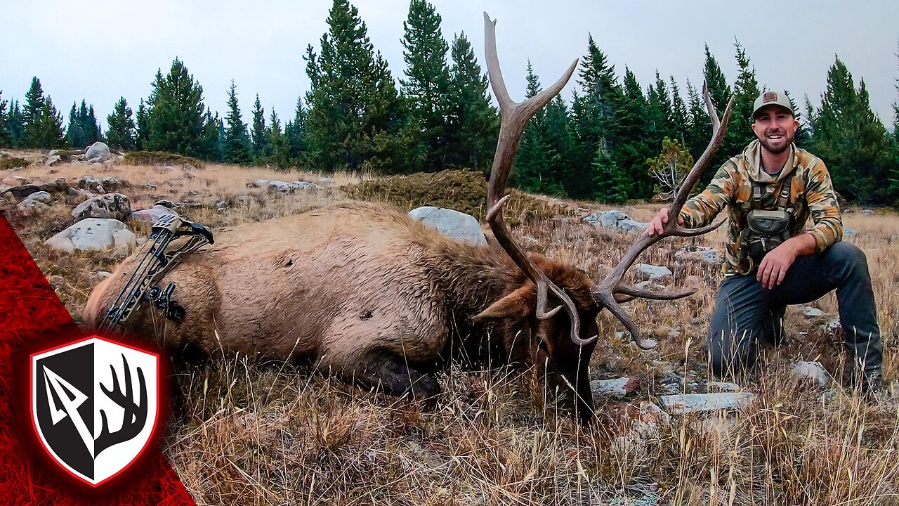 8 Days, 1 Bull – Public Land Elk Hunting Success