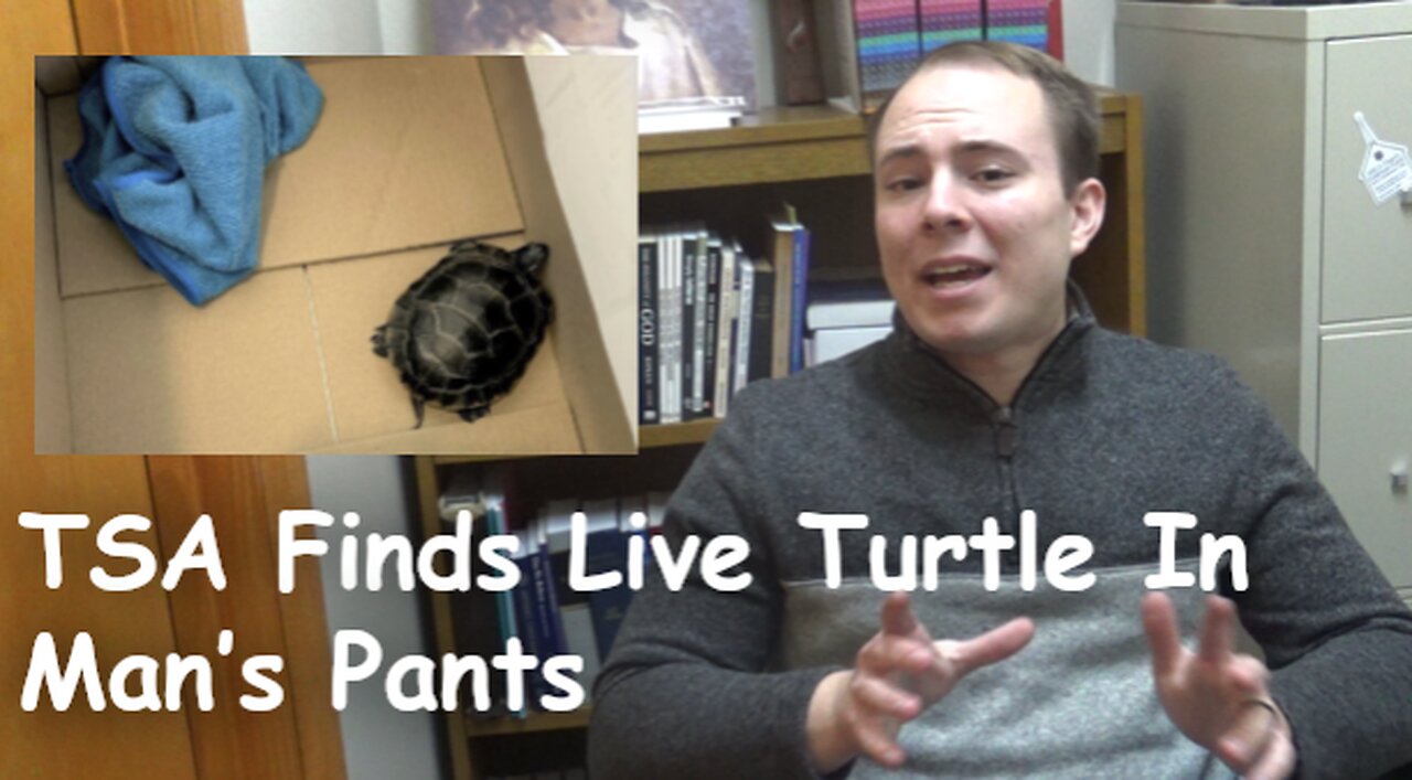 TSA Finds Live Turtle In Man’s Pants