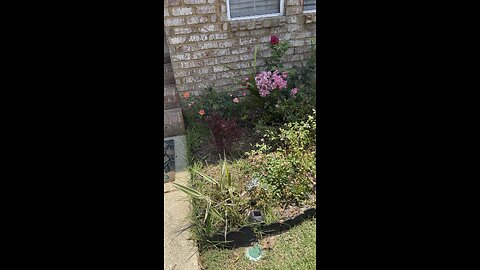 Flower bed