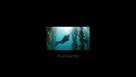 This Octopus Waited… Then Flipped Off the Diver