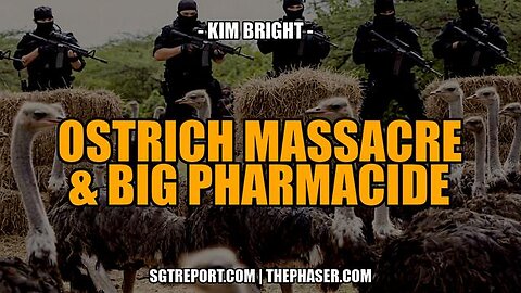 OSTRICH MASSACRE & BIG PHARMACIDE -- Kim Bright