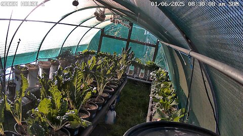 Greenhouse 1 Timeplapse Ending 22-06-2025
